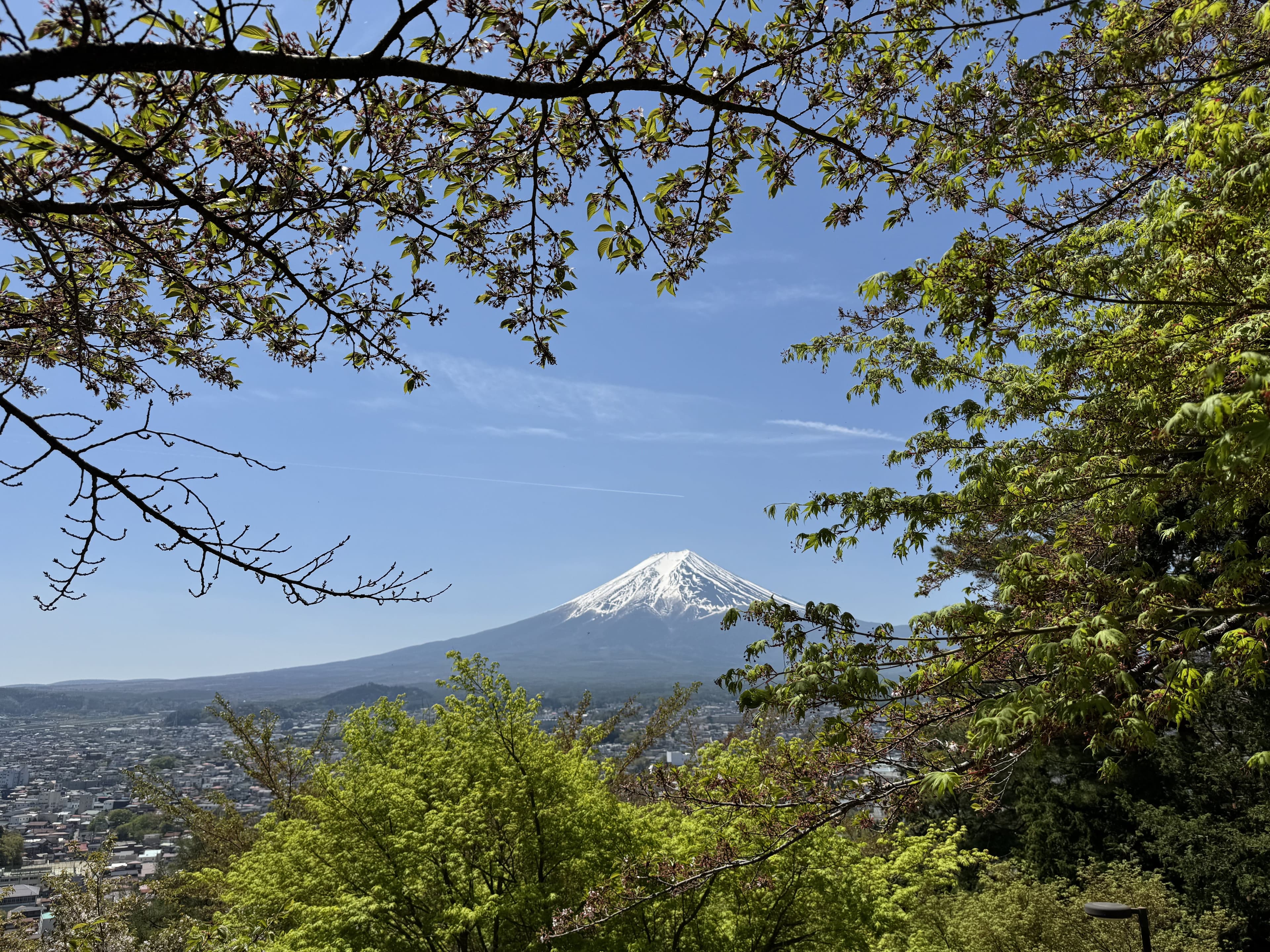富士山 2025/04